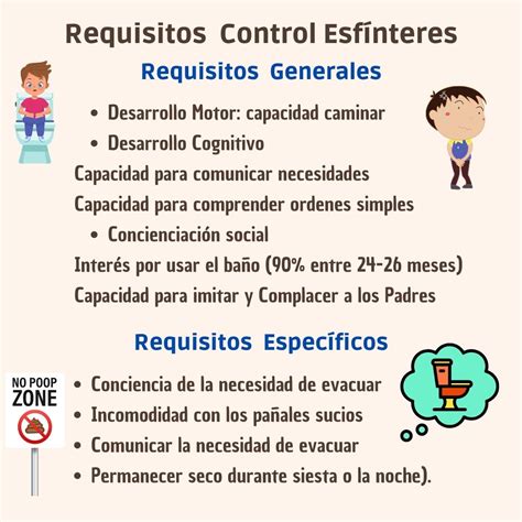 Comparación de la acción del esfínter en el control de la orina en condiciones normales y con debilidad