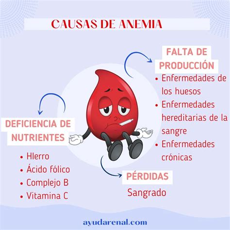 Diagrama que ilustra las diversas causas de la anemia, incluyendo nutricionales, infecciosas y crónicas.