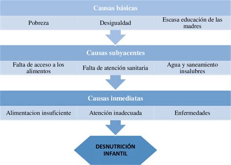 Esquema de las causas multifactoriales de la desnutrición en el adulto mayor, incluyendo factores fisiológicos, médicos y psicosociales.