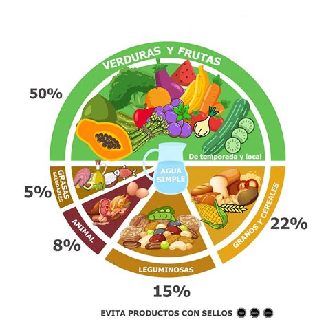Infografía con un plato saludable para el adulto mayor, mostrando proporciones de macronutrientes y alimentos recomendados.