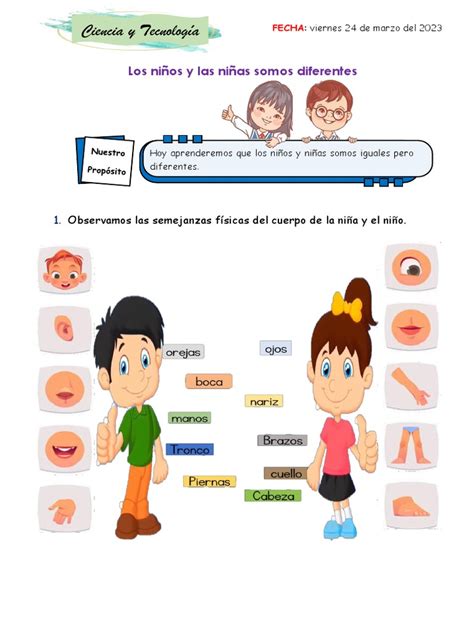Diagrama comparativo de las proporciones corporales y diferencias sutiles entre niños y niñas.