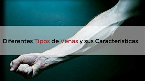 Ejemplos de manos envejecidas con arrugas y venas marcadas.