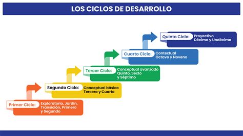 Infografía sobre el ciclo de desarrollo de talento y liderazgo en Profuturo AFP
