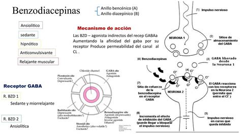 Esquema del mecanismo de acción de las benzodiacepinas en el receptor GABA-A