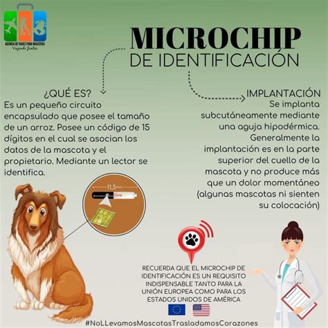 Esquema explicativo del funcionamiento del microchip en mascotas para su identificación
