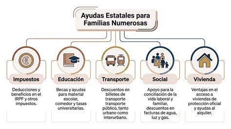 Infografía: Tipos de ayudas estatales para familias vulnerables