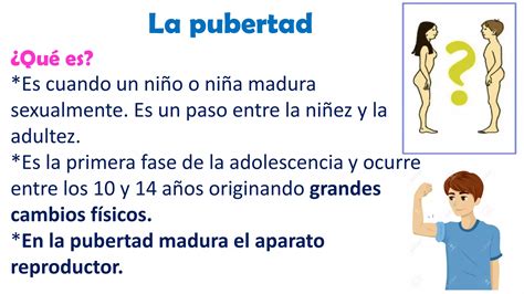 Diagrama de las etapas de la pubertad en niñas, mostrando el desarrollo mamario, vello púbico y la menarquia.