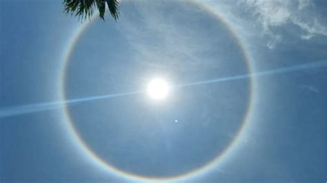 Ilustración de una persona mayor con un halo, mirando a sus seres queridos desde el cielo