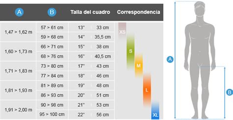 Diagrama: Cómo elegir la talla correcta de arnés