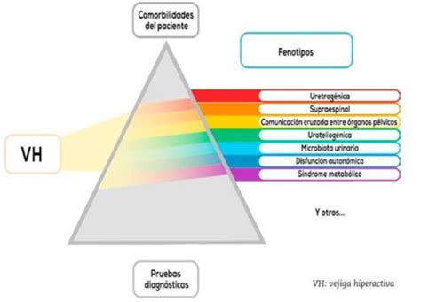 Diagrama conceptual del enfoque diagnóstico 