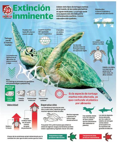 Infografía sobre las especies marinas en el Archipiélago de Humboldt
