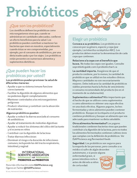 Infografía comparativa de probióticos y prebióticos.