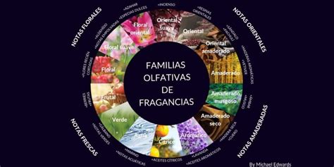 Infografía: las principales familias olfativas masculinas con ejemplos de notas (amaderado, fresco, especiado, oriental)
