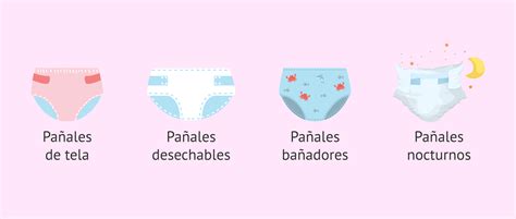 Ilustración comparativa de los diferentes tipos de pañales para adultos (desechables, de tela, ropa interior protectora)