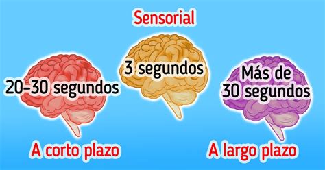 Gráfico mostrando los tipos de memoria: a corto plazo, a largo plazo, verbal y visual