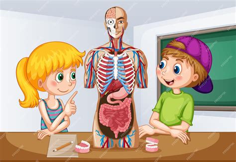 Estudiantes aprendiendo sobre anatomía equina