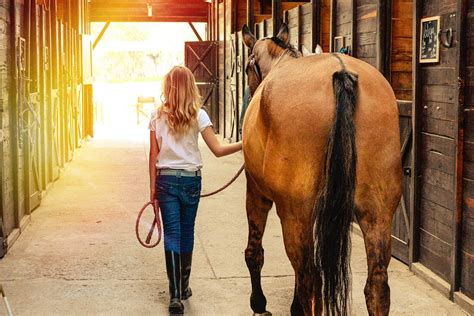 Cuidador de caballos realizando trabajo físico en un establo