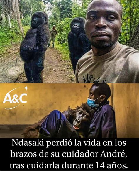 Foto de Ndakazi en los brazos de su cuidador, André Bauma