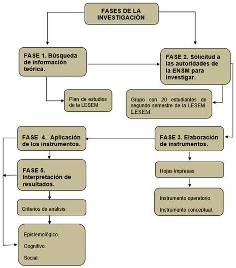 Esquema de las fases del litigio estratégico y sus componentes