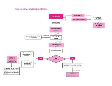 Diagrama de flujo de las intervenciones de cuidados a largo plazo recomendadas por la OMS