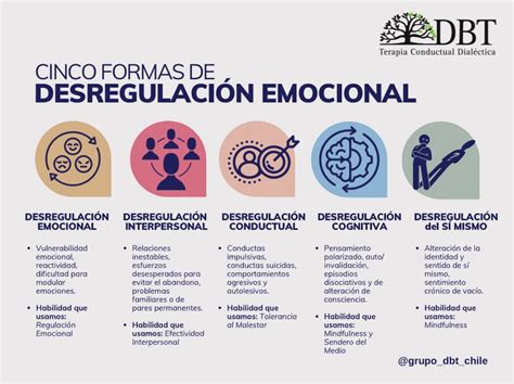 Infografía: Causas y síntomas de la desregulación emocional