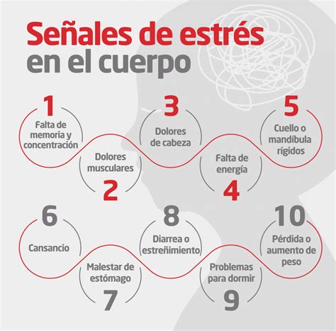 Gráfico mostrando el impacto del estrés crónico en diferentes sistemas corporales