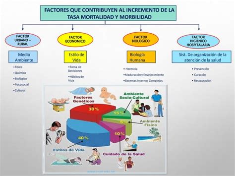 Infografía que detalla los factores que contribuyen al declive en la vejez, incluyendo aspectos fisiológicos, médicos y sociales.