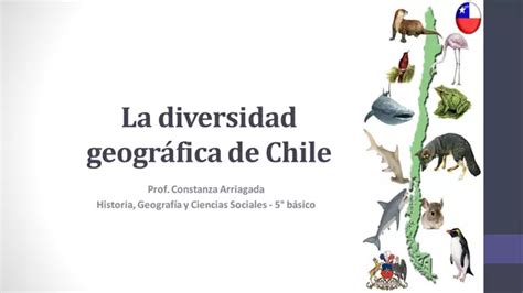 Mapa de la diversidad geográfica de Chile