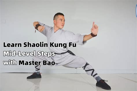 Infografía: Ilustración de formas de puño Shaolin y armas tradicionales como el bastón y la espada