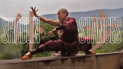 Foto aérea de la escuela Qufu Shaolin Kung Fu con el Parque Nacional de la Montaña Shimen de fondo