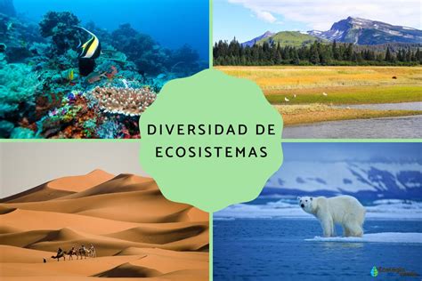 Representación de un ecosistema con especies diversas, algunas amenazadas