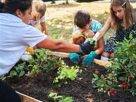 Niños en una huerta agroecológica cosechando vegetales