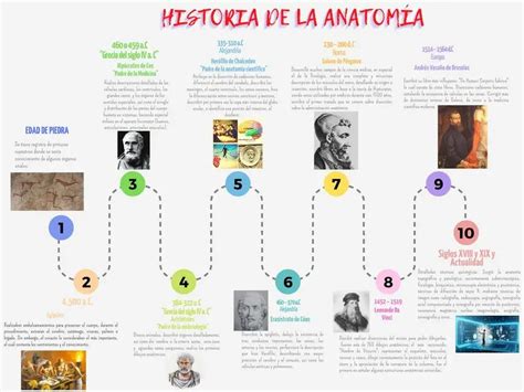 Línea de tiempo con hitos clave en el desarrollo de los cuidados paliativos