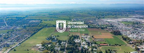 Mapa del campus de la Universidad de Concepción con áreas de desarrollo