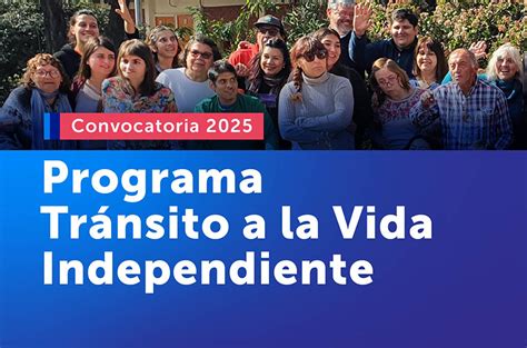Esquema de las etapas del programa Transito a la Vida Independiente