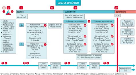 Diagrama de flujo: Etapas y duración del estatus epiléptico