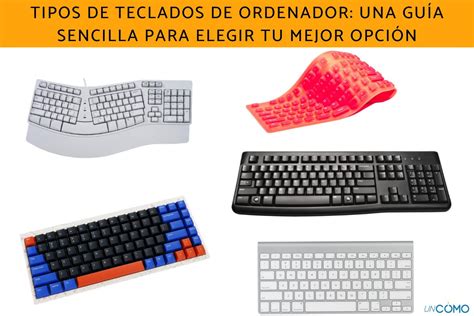 Diferentes tipos de teclados adaptados y una línea braille