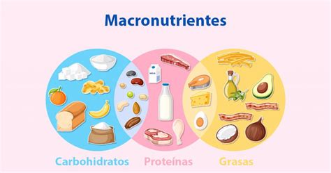 Esquema de las proporciones recomendadas de macronutrientes en la dieta de adultos mayores.