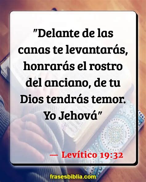 Infografía: Diagrama con los versículos clave sobre la vejez en la Biblia.