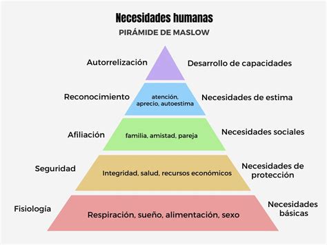 Esquema de las diferentes necesidades de un adulto mayor dependiente