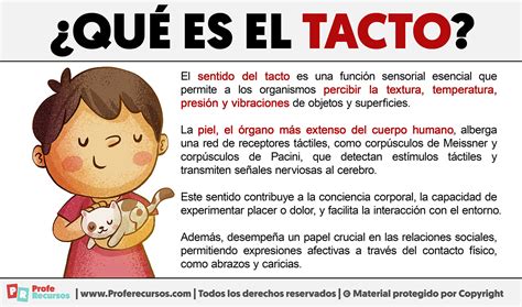 Fotografías en relieve expuestas para ser exploradas por el tacto