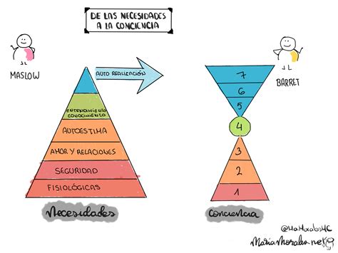 Esquema de los diferentes niveles de consciencia en humanos
