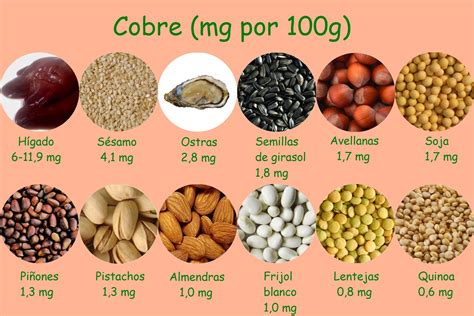 Variedad de alimentos ricos en cobre como mariscos, frutos secos y legumbres