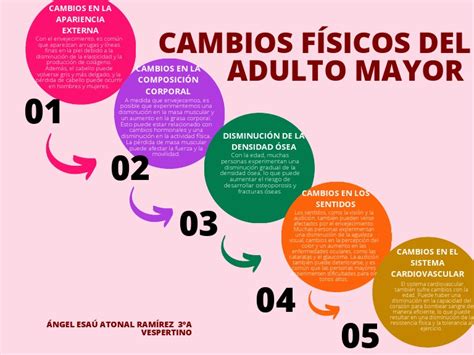 infografía sobre los cambios en la composición corporal durante el envejecimiento