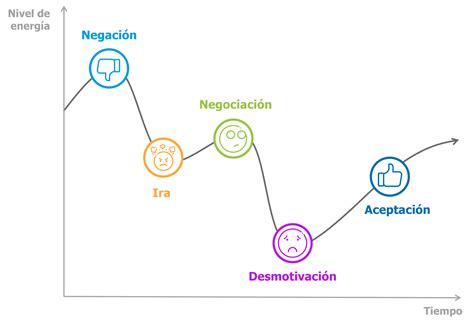Esquema sobre el ciclo de aceptación emocional en familias tras el diagnóstico de discapacidad.