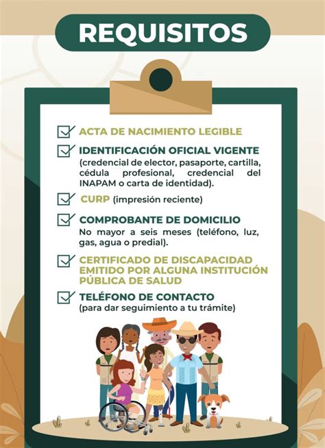 Esquema de requisitos para la certificación de discapacidad