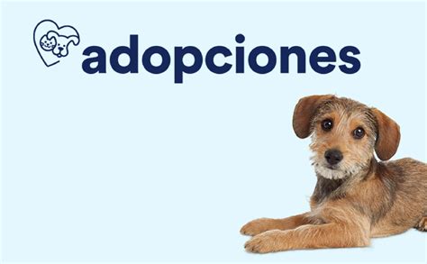Infografía comparando adopción y compra de mascotas