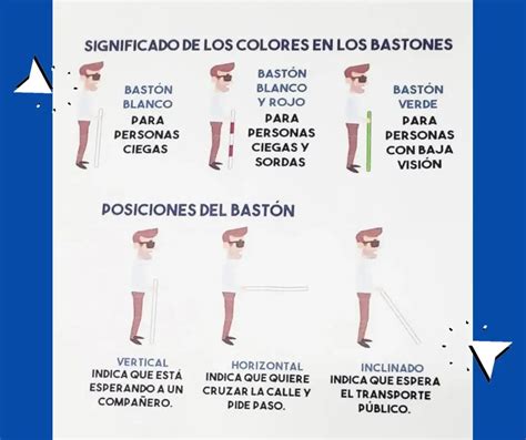 Infografía o esquema de los diferentes tipos de bastones y sus colores