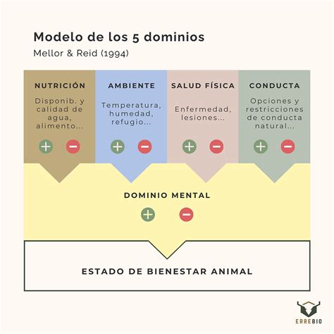 Diagrama de los dominios funcionales explorados por el Grupo de Washington sobre Estadísticas de Discapacidad