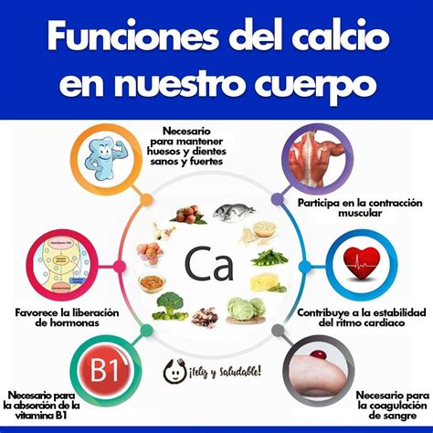 Infografía sobre la importancia del calcio y la proteína en adultos mayores